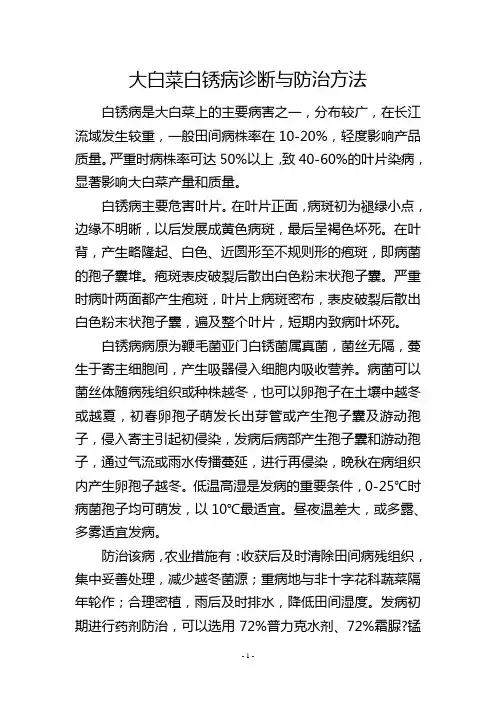 大白菜白锈病诊断与防治方法