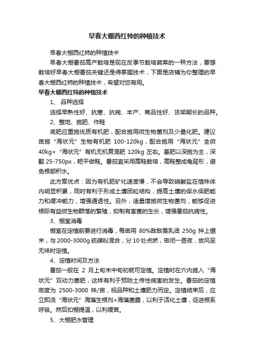 早春大棚西红柿的种植技术