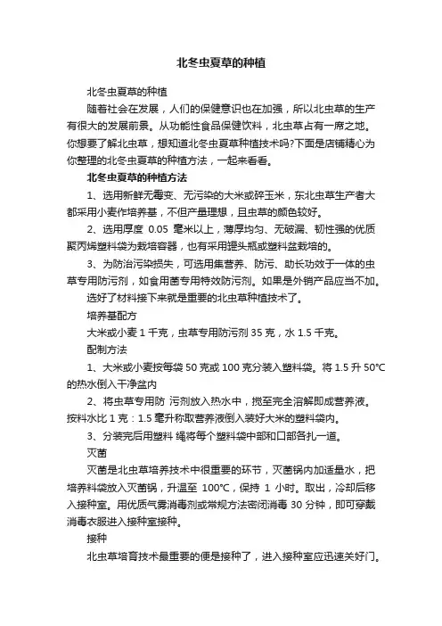 北冬虫夏草的种植