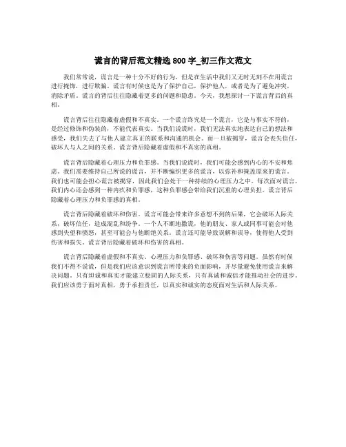 谎言的背后范文精选800字_初三作文范文