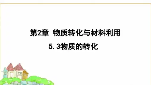 浙教版九年级科学上册2.5.3物质的转化课件