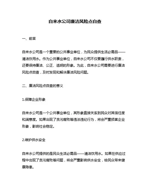 自来水公司廉洁风险点自查