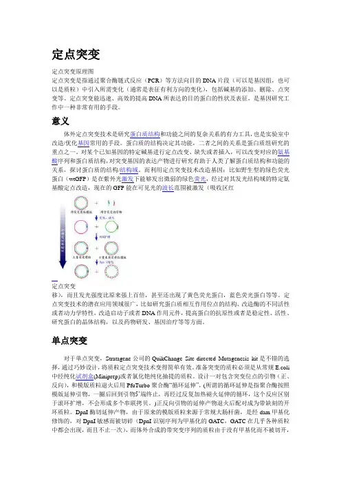 点突变