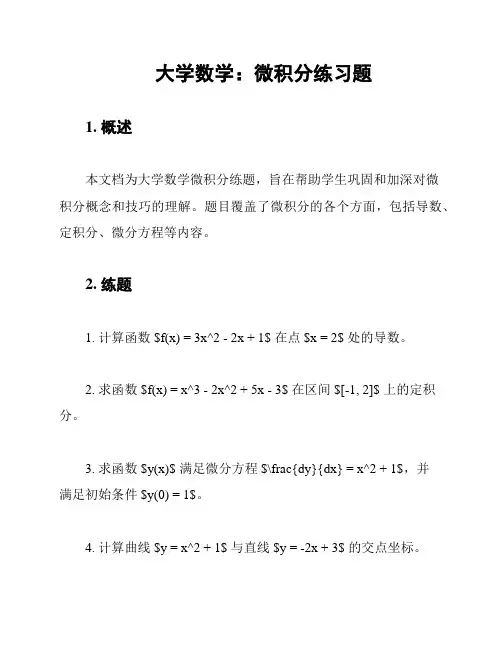大学数学：微积分练习题