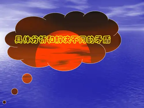 具体问题具体分析演示文稿