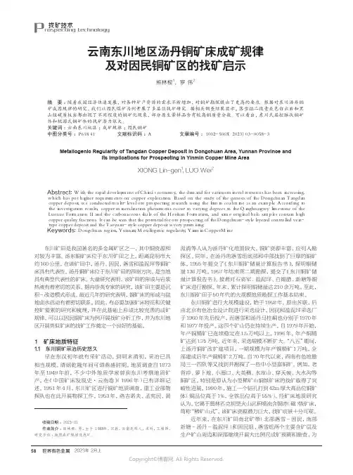 211274076_云南东川地区汤丹铜矿床成矿规律及对因民铜矿区的找矿启示