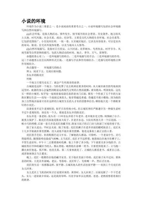 小说的环境