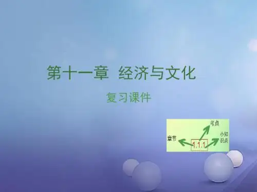 江西省中考地理复习第十一章经济与文化课件