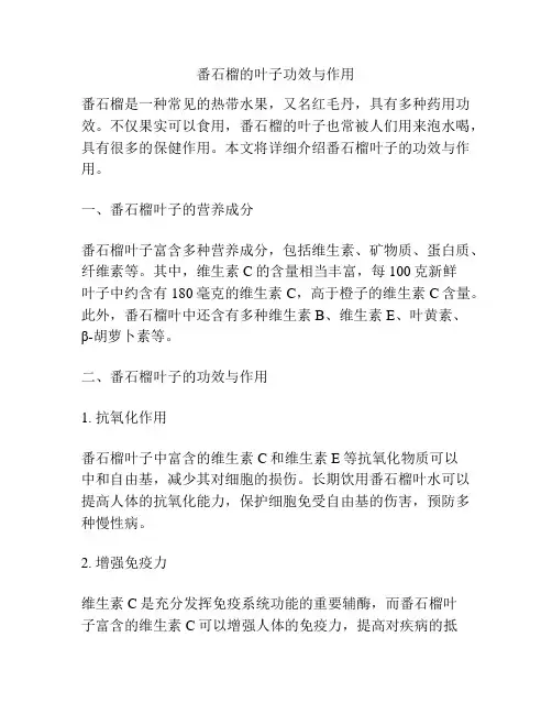 番石榴的叶子功效与作用