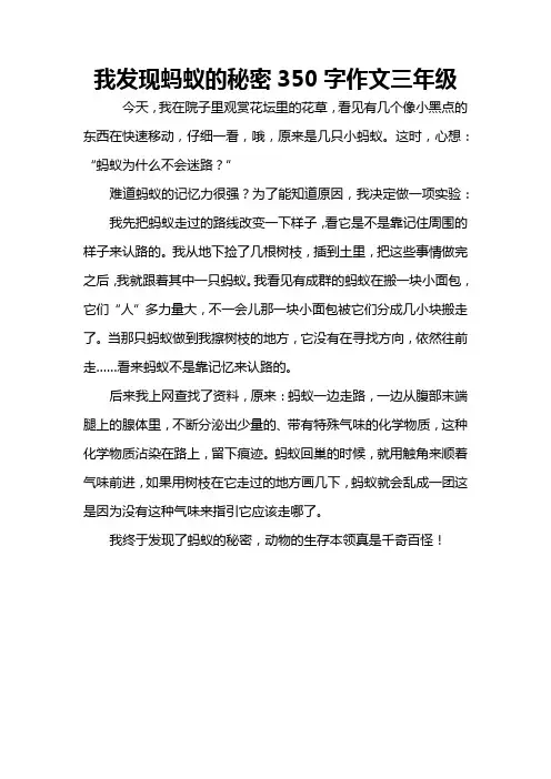 我发现蚂蚁的秘密350字作文三年级
