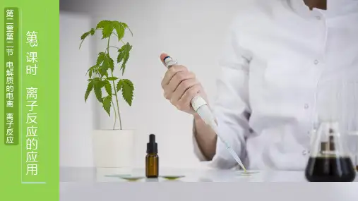 离子反应的应用课件高一上学期化学鲁科版