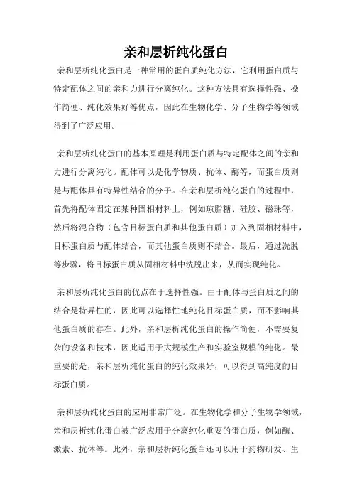亲和层析纯化蛋白