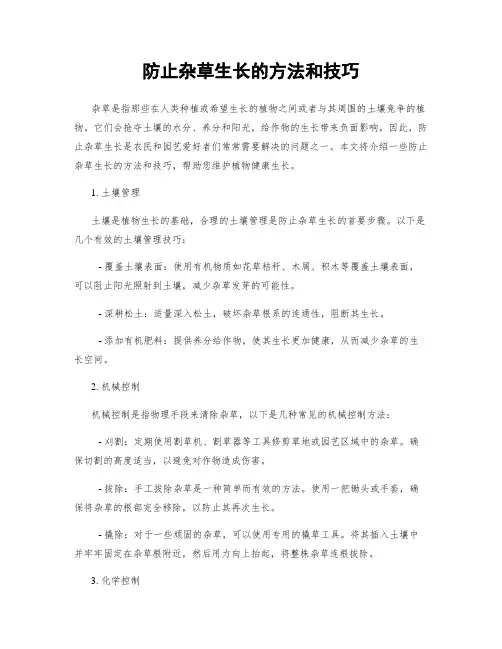 防止杂草生长的方法和技巧