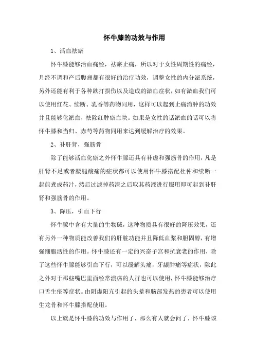 怀牛膝的功效与作用