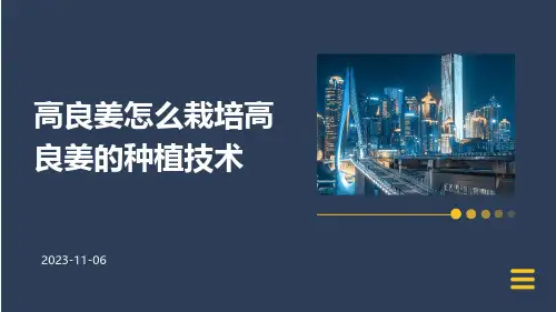 高良姜怎么栽培高良姜的种植技术