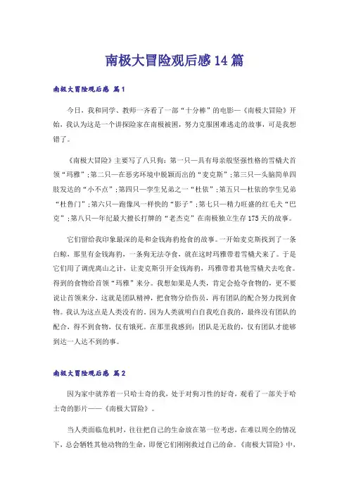 南极大冒险观后感14篇
