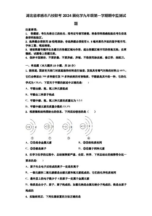 湖北省孝感市八校联考2024届化学九年级第一学期期中监测试题含答案解析