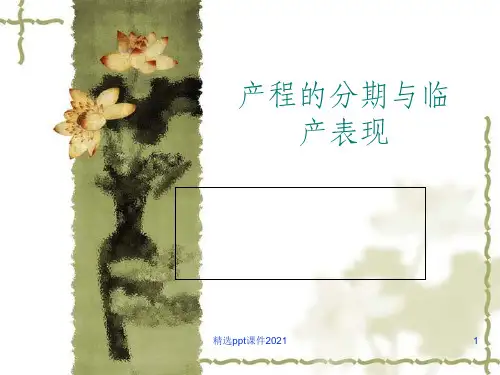 产程的分期与临产表现PPT课件