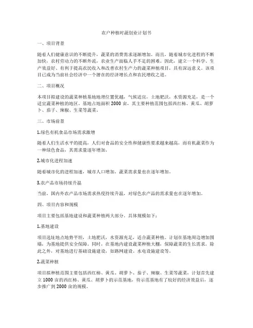 农户种植时蔬创业计划书