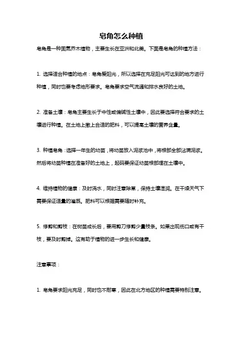 皂角怎么种植