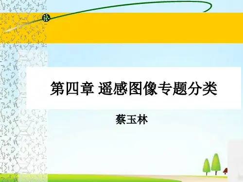 遥感图像专题分类(ppt 46页)