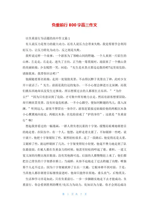 负重前行800字高三作文