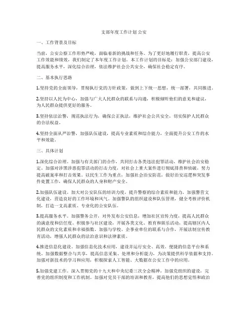 支部年度工作计划 公安