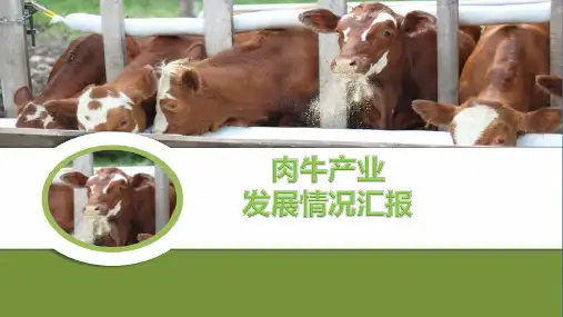 肉牛产业发展情况汇报PPT