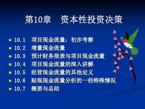 第10章资本性投资决策.ppt