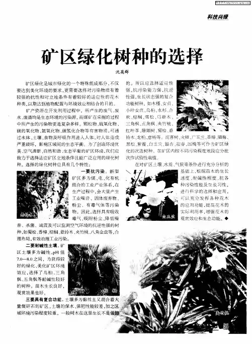 矿区绿化树种的选择