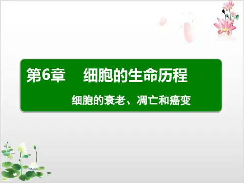 衰老凋亡和癌变-ppt精品课件