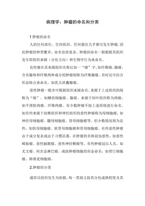 病理学：肿瘤的命名和分类