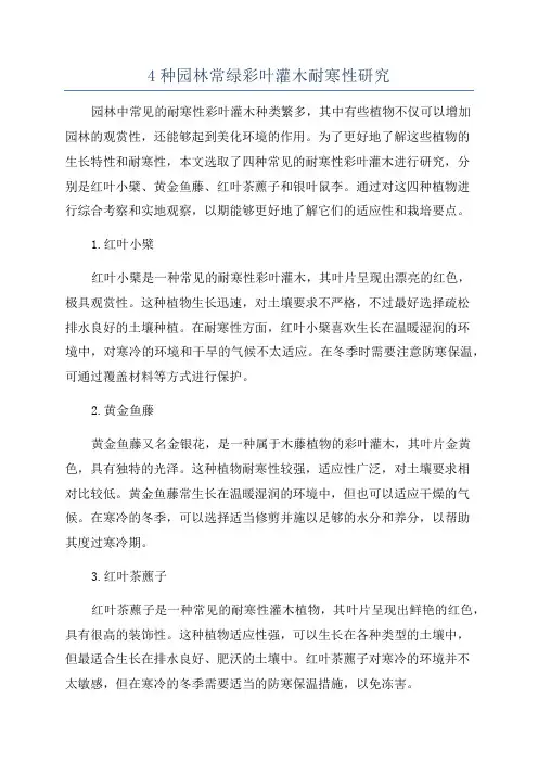 4种园林常绿彩叶灌木耐寒性研究