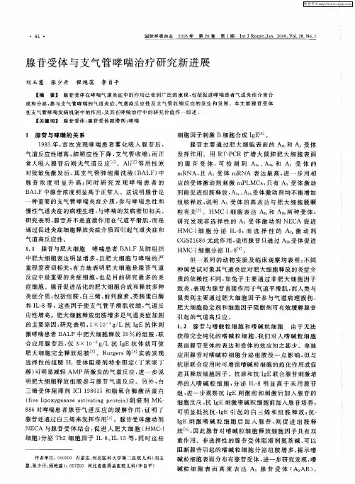 腺苷受体与支气管哮喘治疗研究新进展
