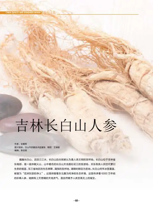 吉林长白山人参
