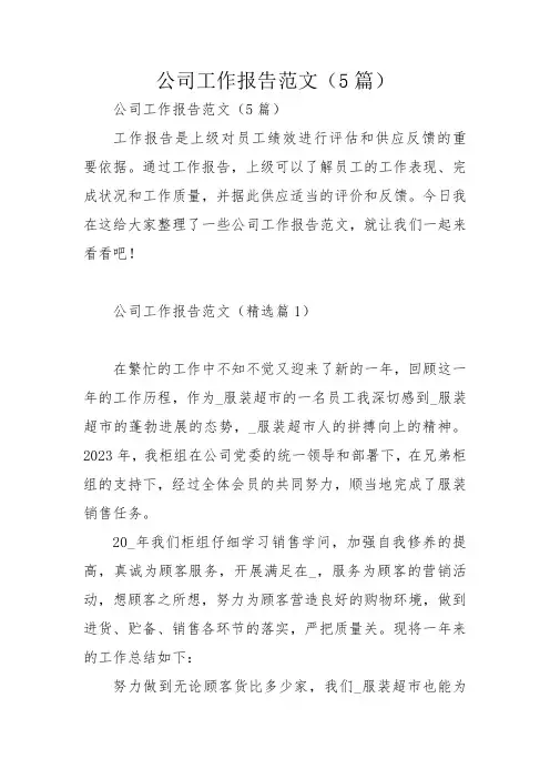 公司工作报告范文(5篇)