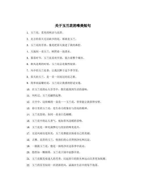 关于玉兰花的唯美短句