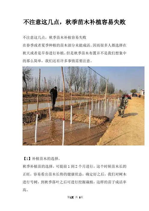 不注意这几点，秋季苗木补植容易失败