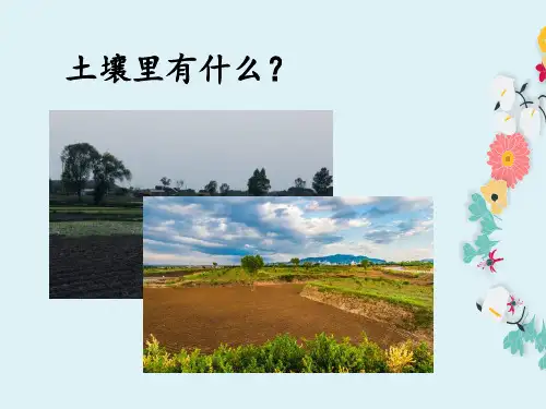 小学科学四年级下册：7.《土壤里有什么》