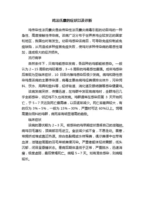 鸡法氏囊的症状以及诊断