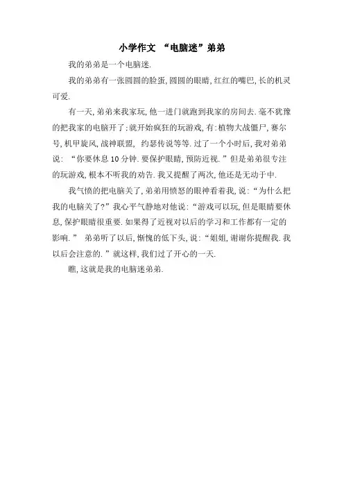 小学作文 “电脑迷”弟弟