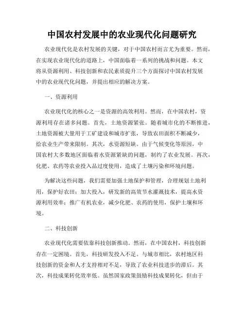 中国农村发展中的农业现代化问题研究