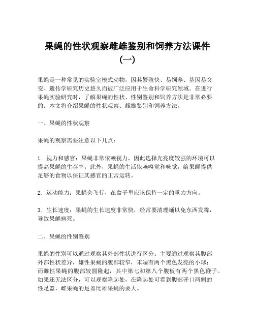 果蝇的性状观察雌雄鉴别和饲养方法课件 (一)