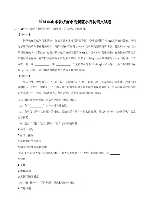 2024年山东省济南市高新区小升初语文试卷