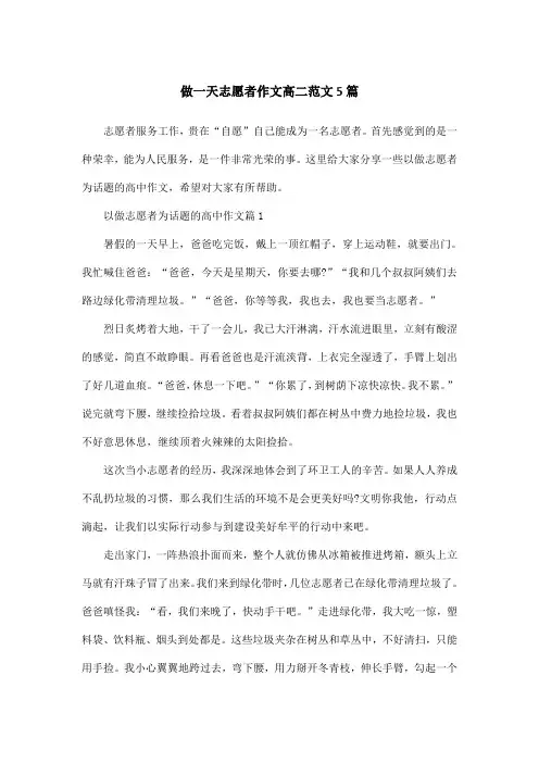 做一天志愿者作文高二范文5篇