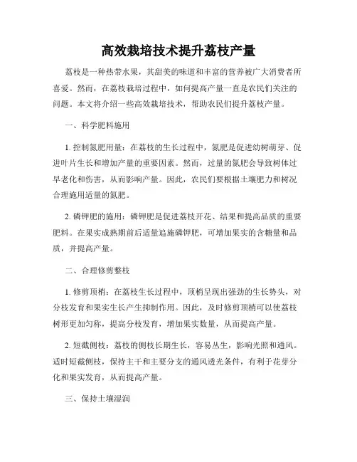 高效栽培技术提升荔枝产量