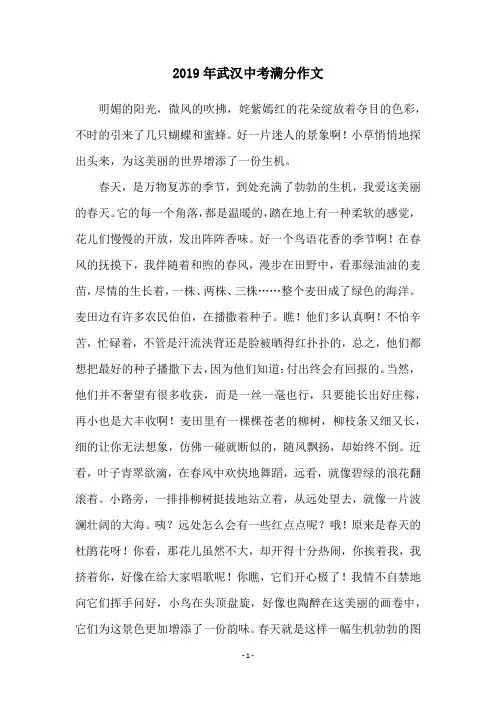 2019年武汉中考满分作文
