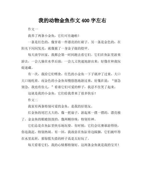 我的动物金鱼作文400字左右