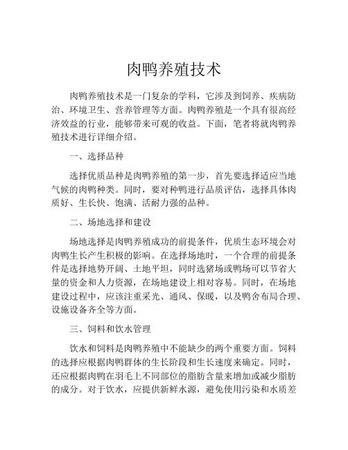 肉鸭养殖技术