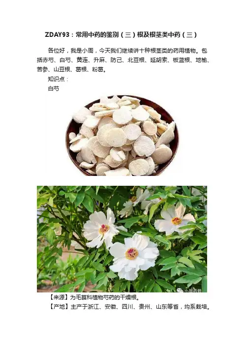 ZDAY93：常用中药的鉴别（三）根及根茎类中药（三）